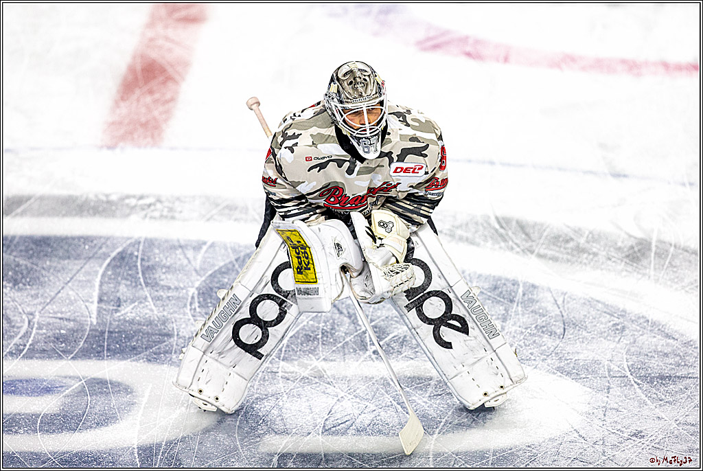 DEL; Koelner Haie - Straubing Tigers; Koeln, 17.11.2019